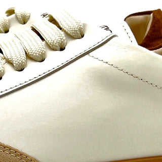 Argo 2.0 - Bortignani